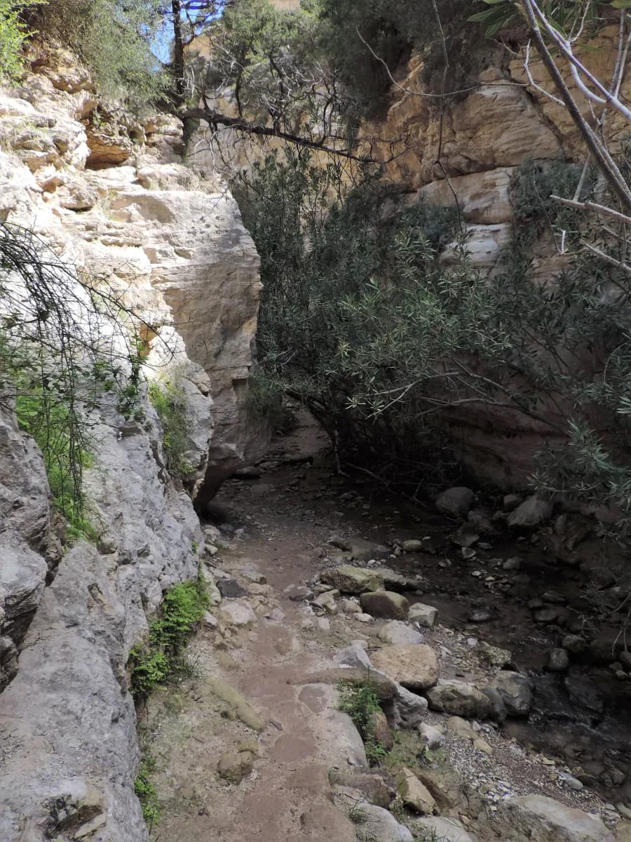 Avakas Gorge kz11