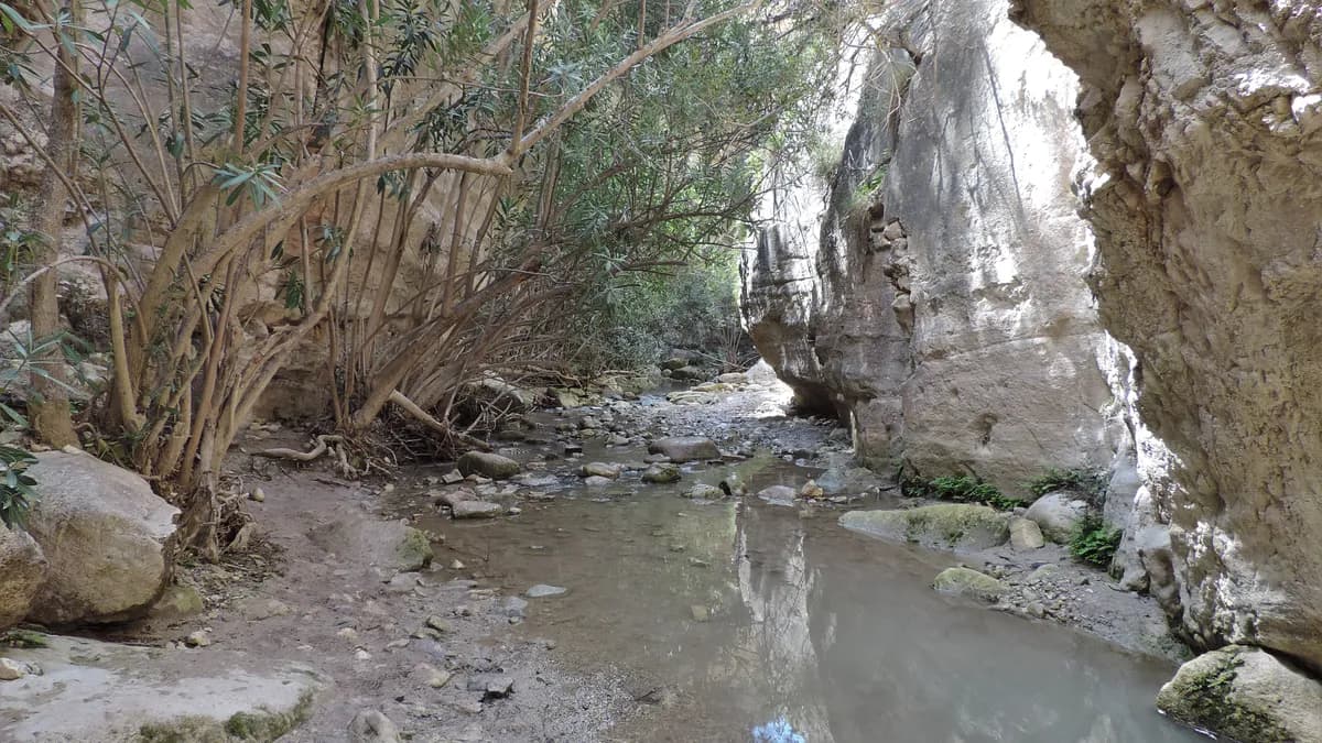 Avakas Gorge kz12