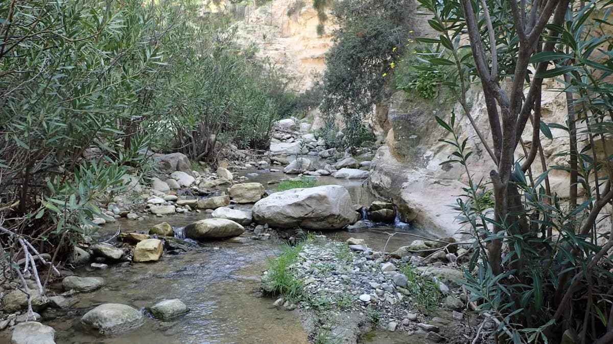 Avakas Gorge kz05