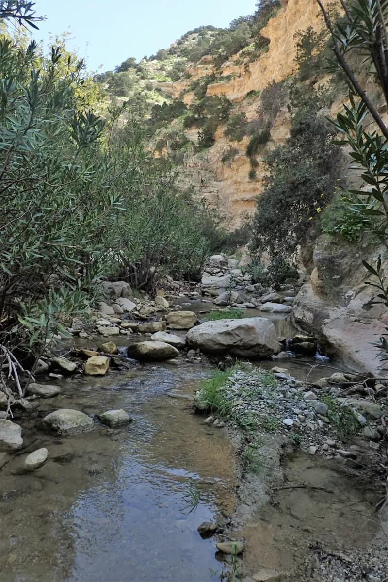 Avakas Gorge kz06
