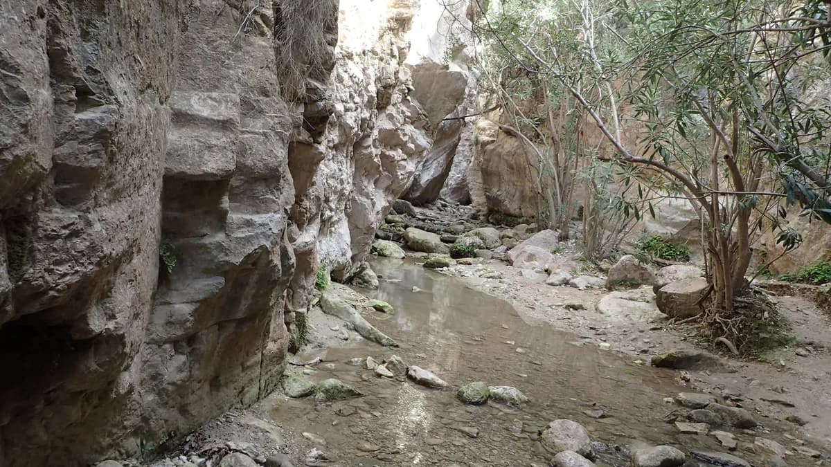 Avakas Gorge kz08