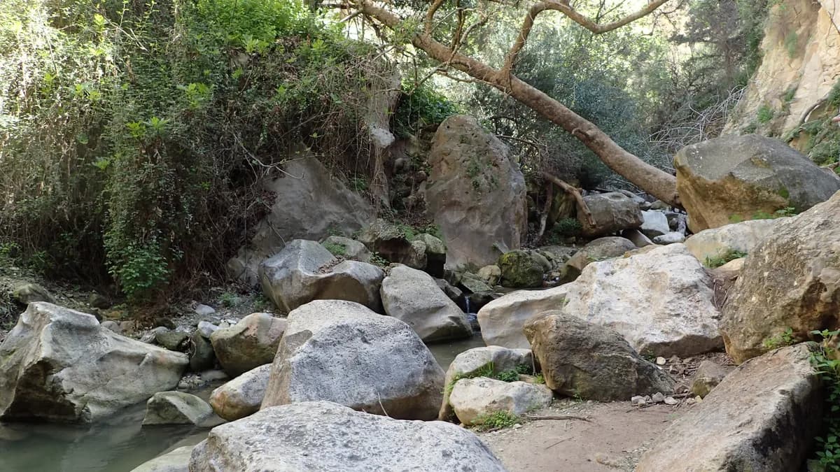 Avakas Gorge kz32