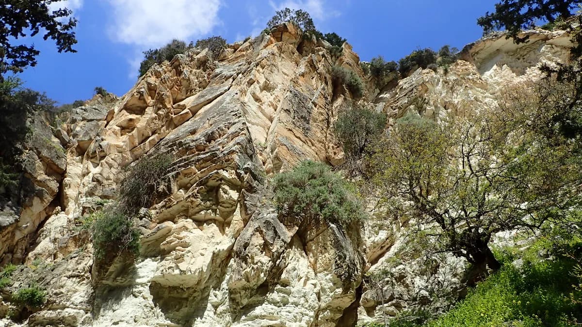 Avakas Gorge kz41
